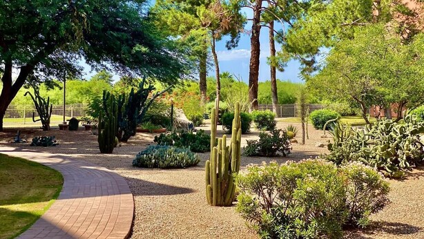 Un jardin avec un chemin pavé, des cactus et divers arbres.