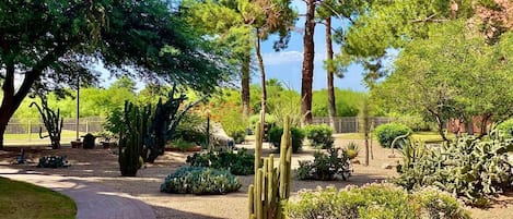 Terrain de lâhĂ©bergement