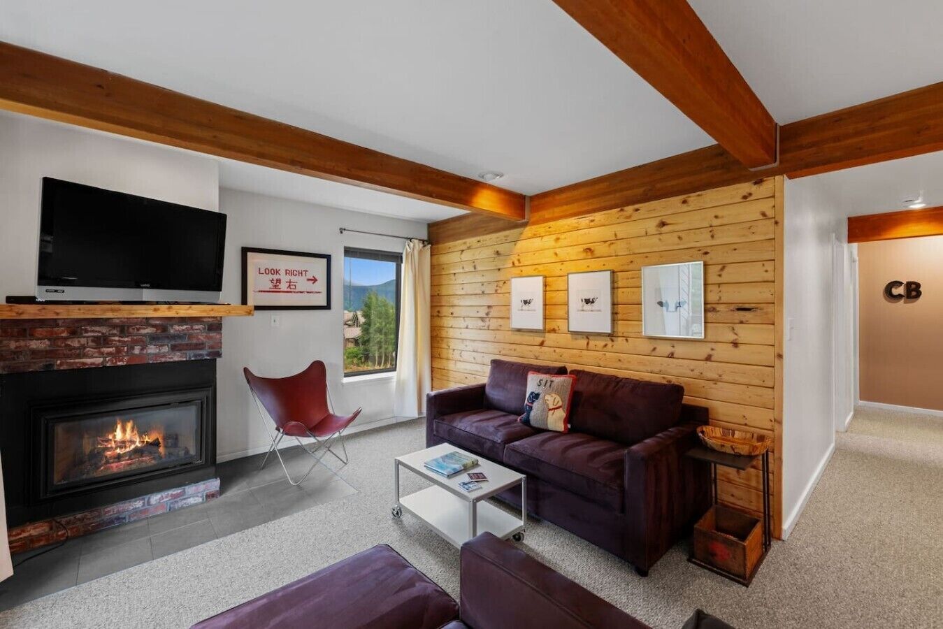 TV, fireplace