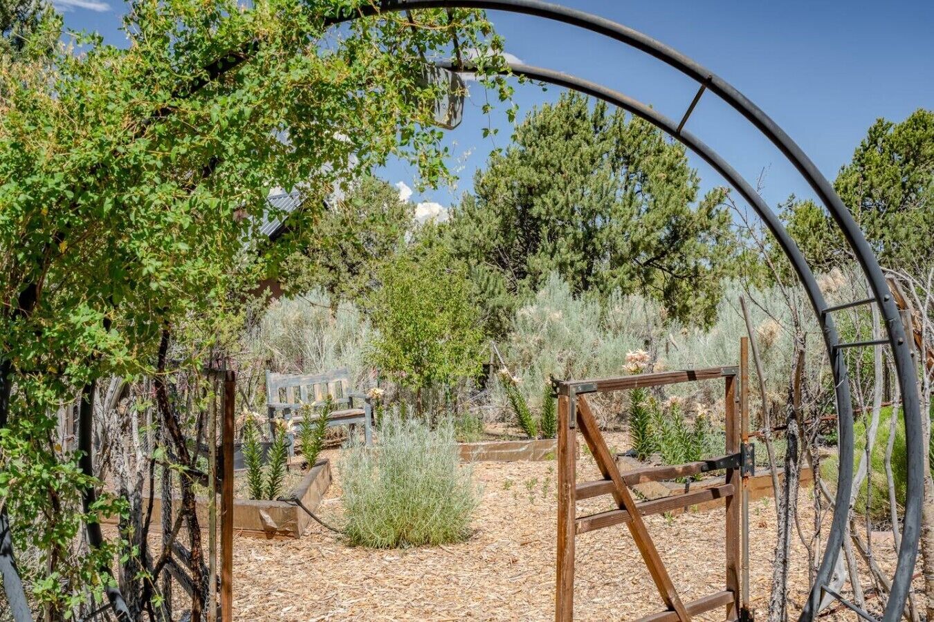 A greenhouse structure with a wooden bench and metal frame, surrounded by various plants and trees.