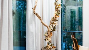 Un salon moderne avec une grande fenêtre, un fauteuil en bois, une petite table et une plante décorative.