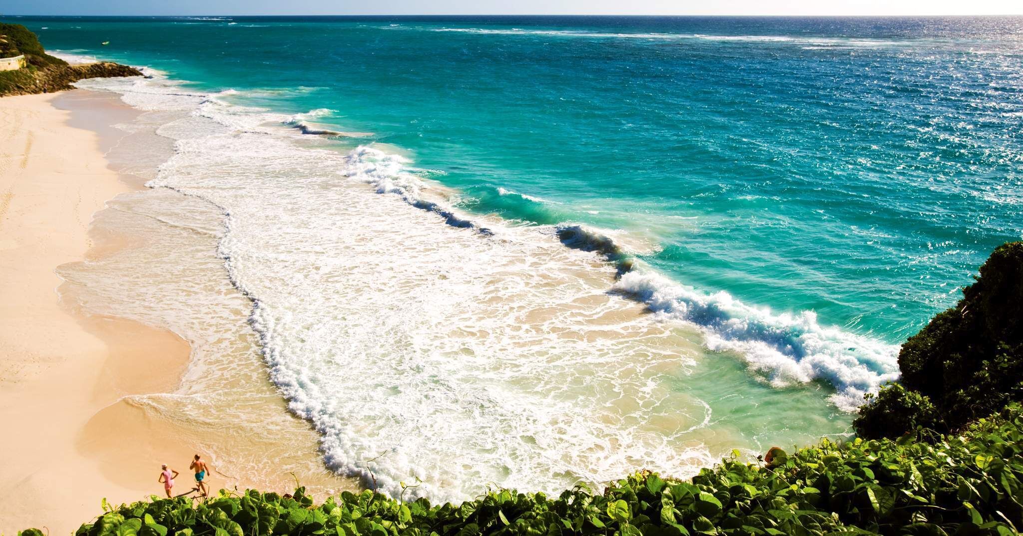 A beach with waves crashing onto the shore, a sandy beach, and some greenery at the edge.