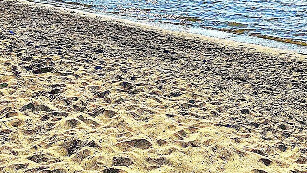 En strand med tydliga fotspår och ett lugnt vattenområde i bakgrunden.