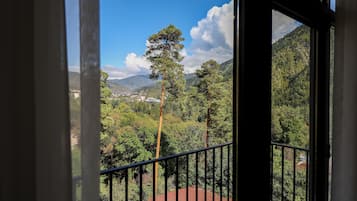 Vista del balcón