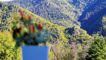 Un paisaje montañoso con un bosque denso.