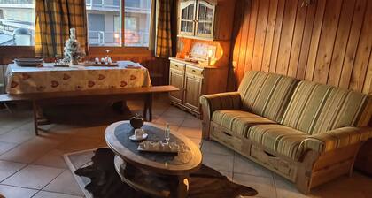 Luxurious apartment SKI at your feet.