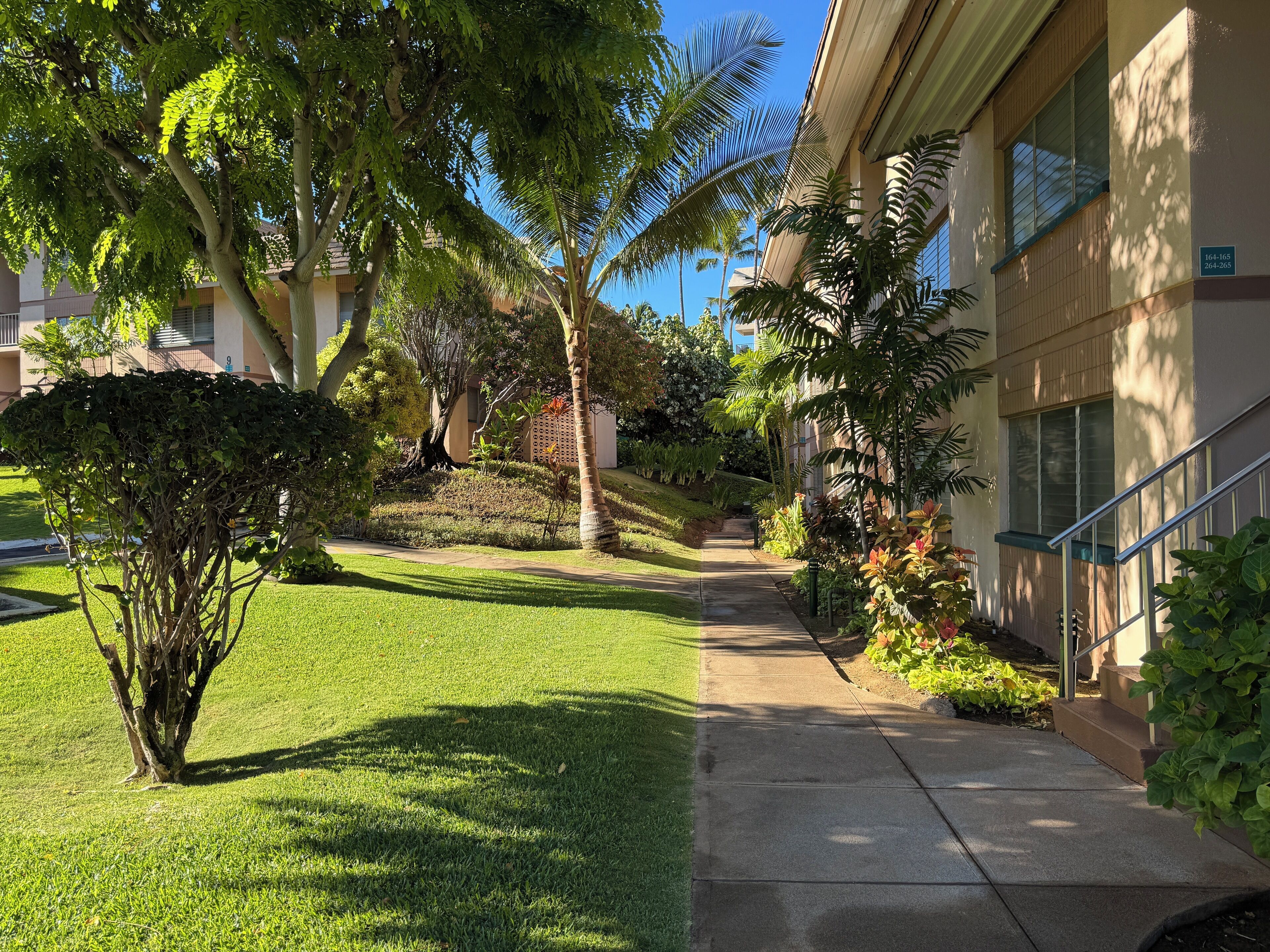 A pathway flanked by lush greenery and a building with a modern design.
