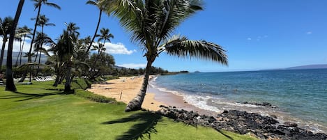 Deluxe Condo, 1 Bedroom, Non Smoking, Garden View | Beach/ocean view