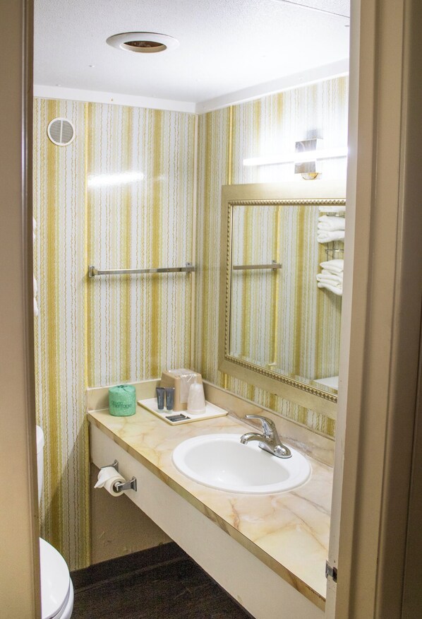 Towels, soap, shampoo, toilet paper