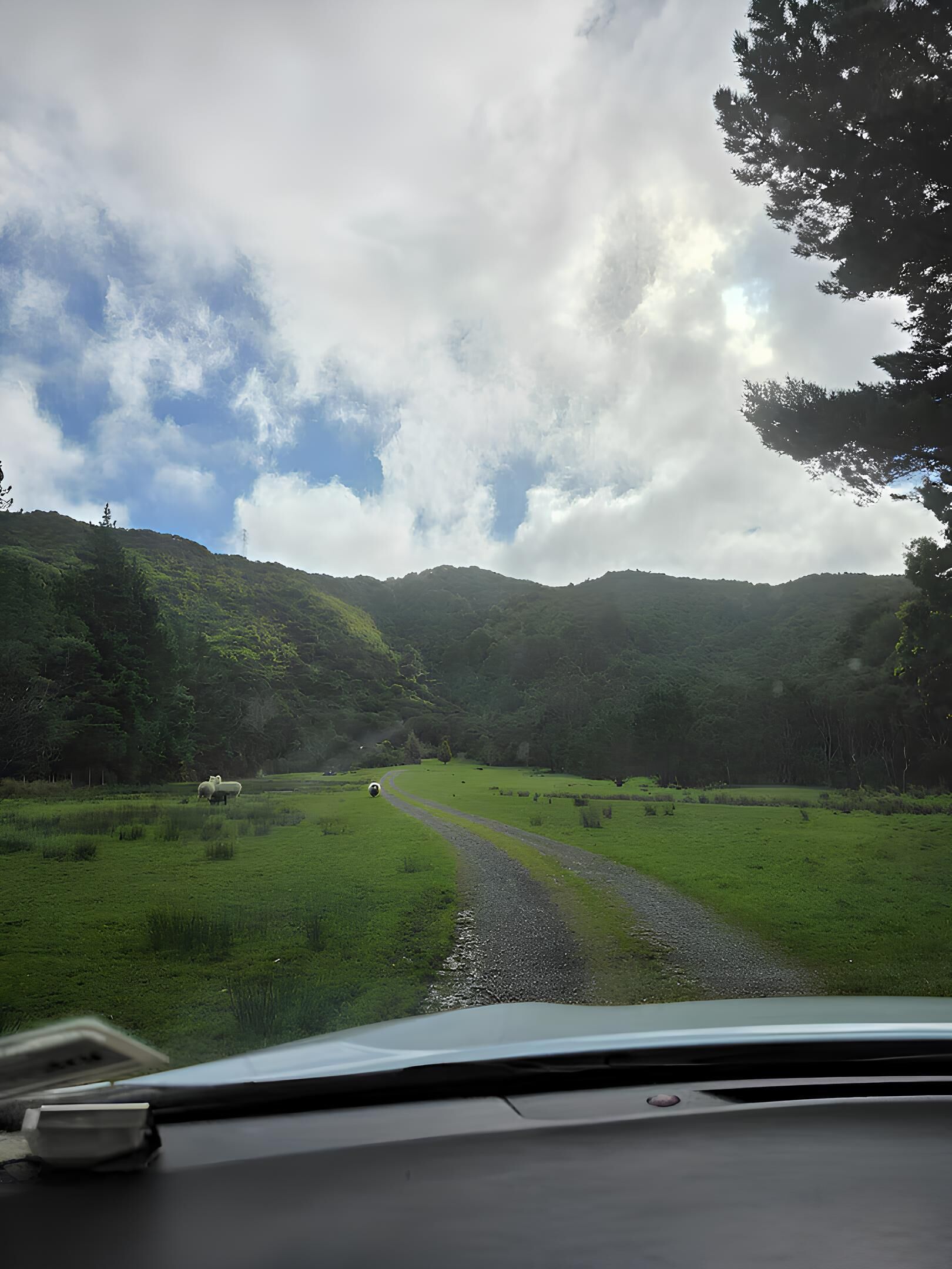 Un paisaje rural con un camino sinuoso, campos verdes y colinas al fondo.