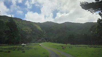 Un paisaje rural con un camino sinuoso, campos verdes y colinas al fondo.