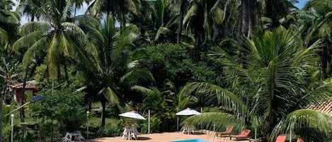 A swimming pool surrounded by palm trees and a clear blue sky.