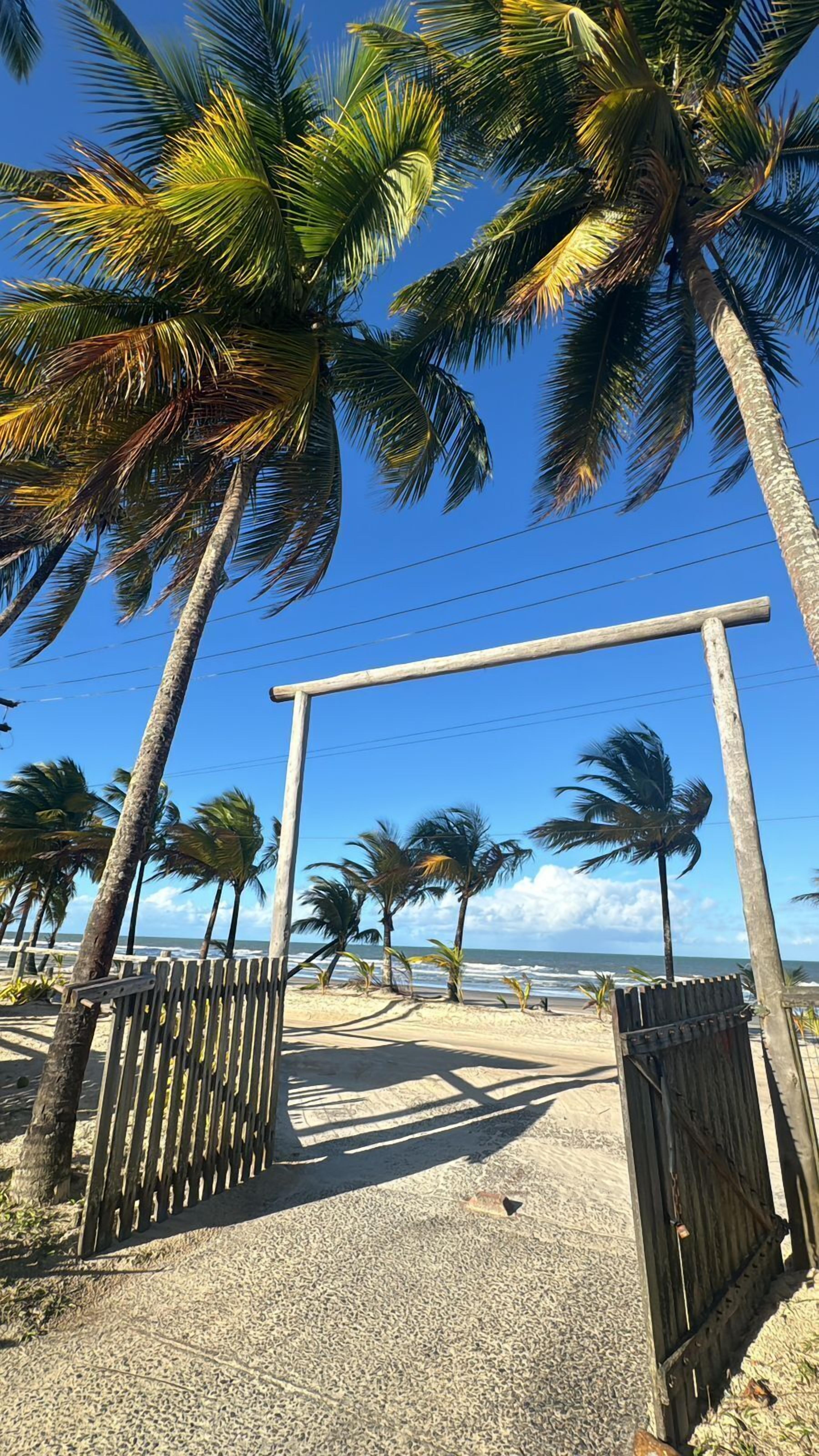 A beach with palm trees, a wooden fence, and a clear blue sky.