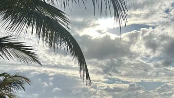 On the beach, white sand, beach bar