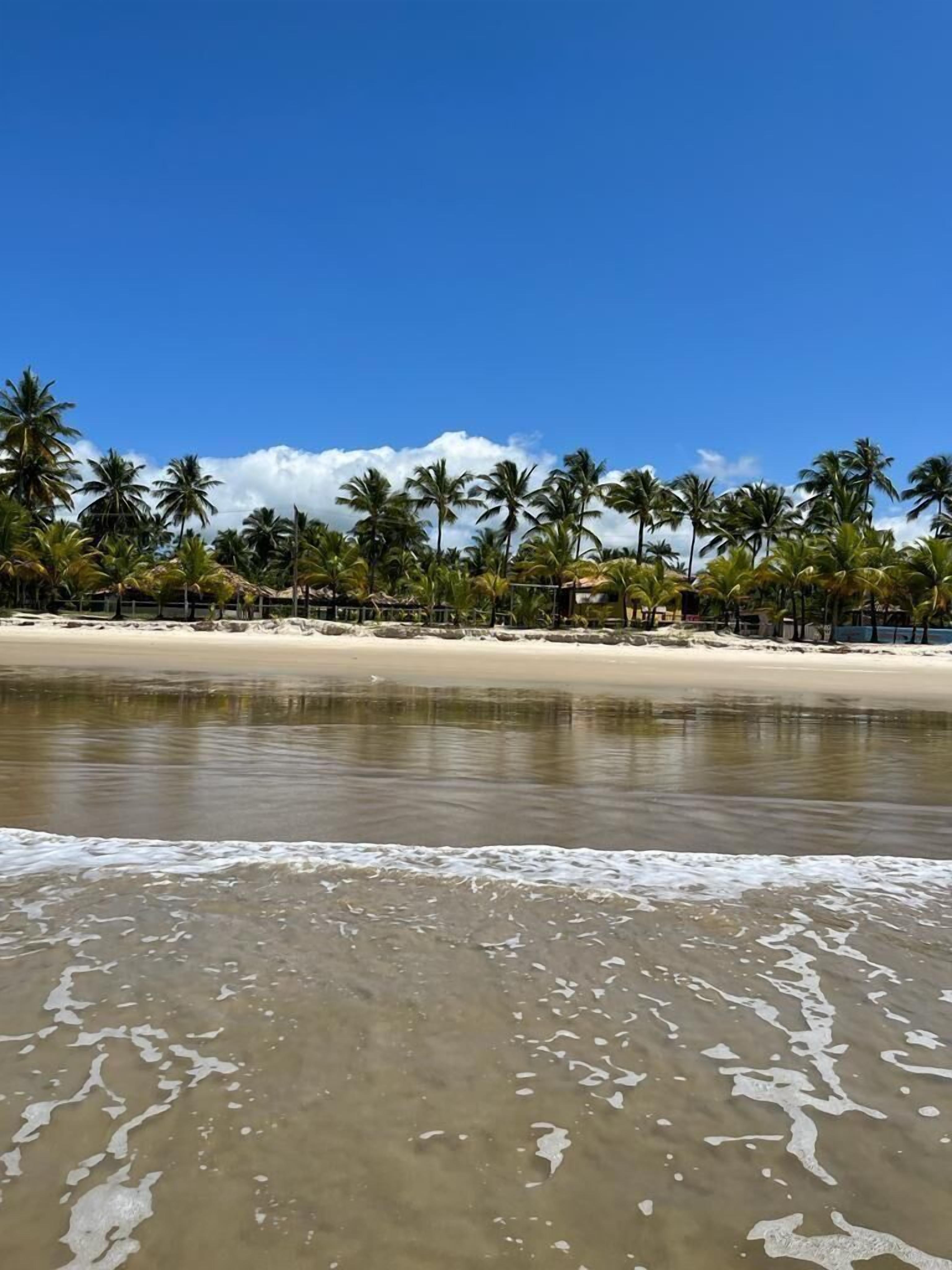 位於海灘上、白沙、海灘酒吧