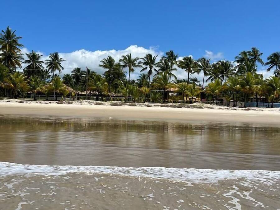 A beach with palm trees and a calm sea.