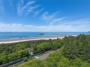 A coastal landscape with a beach, dense forest, and a train track.