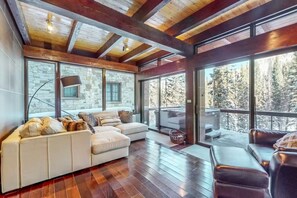 TV, fireplace, offices