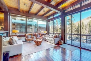 TV, fireplace, offices