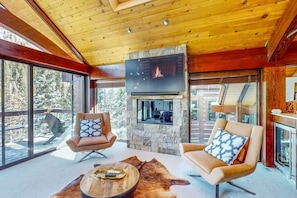 TV, fireplace, books