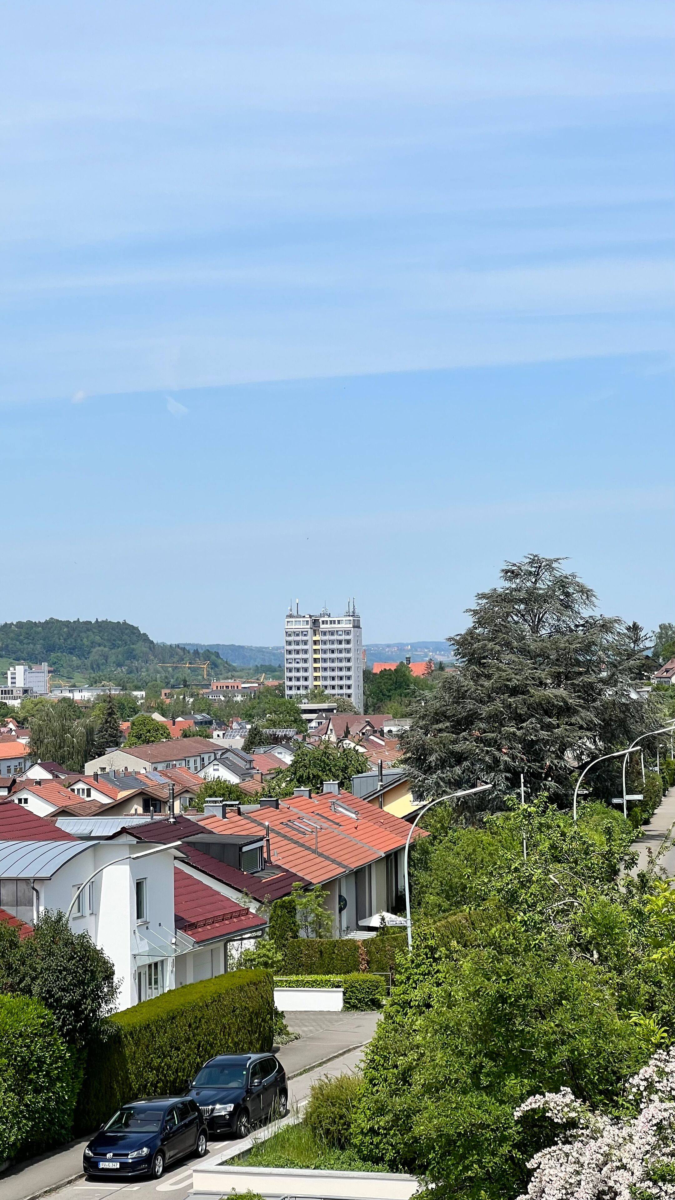 A residential area with houses, a tall building, and a tree.
