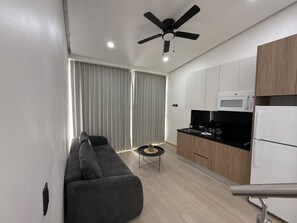 Comfort Studio, City View | Private kitchen | Full-sized fridge, microwave, cookware/dishes/utensils