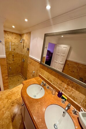 Shower, towels, soap, toilet paper