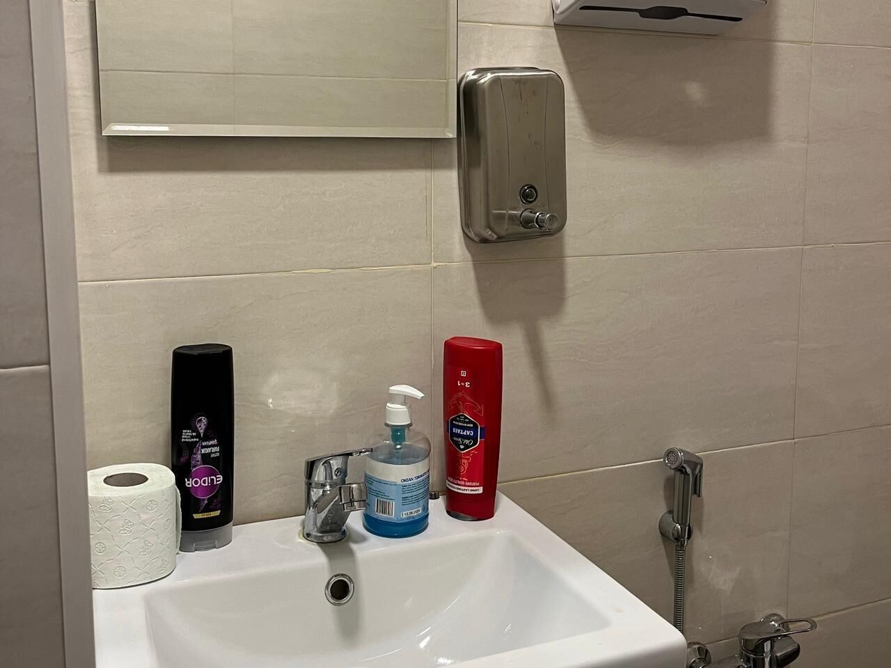 Un bagno con lavandino, carta igienica, sapone per le mani, shampoo e soffione.