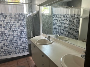 Shower, hair dryer, bidet, towels
