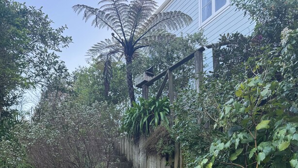 Un escalier en pierre menant à un bâtiment, entouré d’une végétation luxuriante et d’arbres.