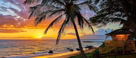 على الشاطئ، كراسي للتشمس، مناشف للشاطئ