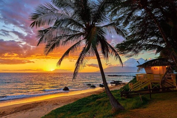 On the beach, sun-loungers, beach towels
