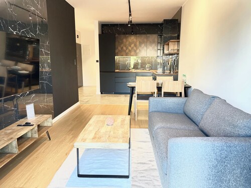 Bielsko-Biała Diamond Apartment #A