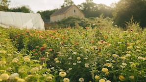 A greenhouse surrounded by a variety of flowering plants. - Peaceful Cottage on Maine Flower Farm (Buxton)