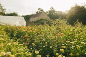 Property grounds - Peaceful Cottage on Maine Flower Farm (Buxton)