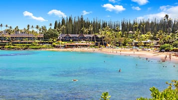 Una spiaggia nelle vicinanze