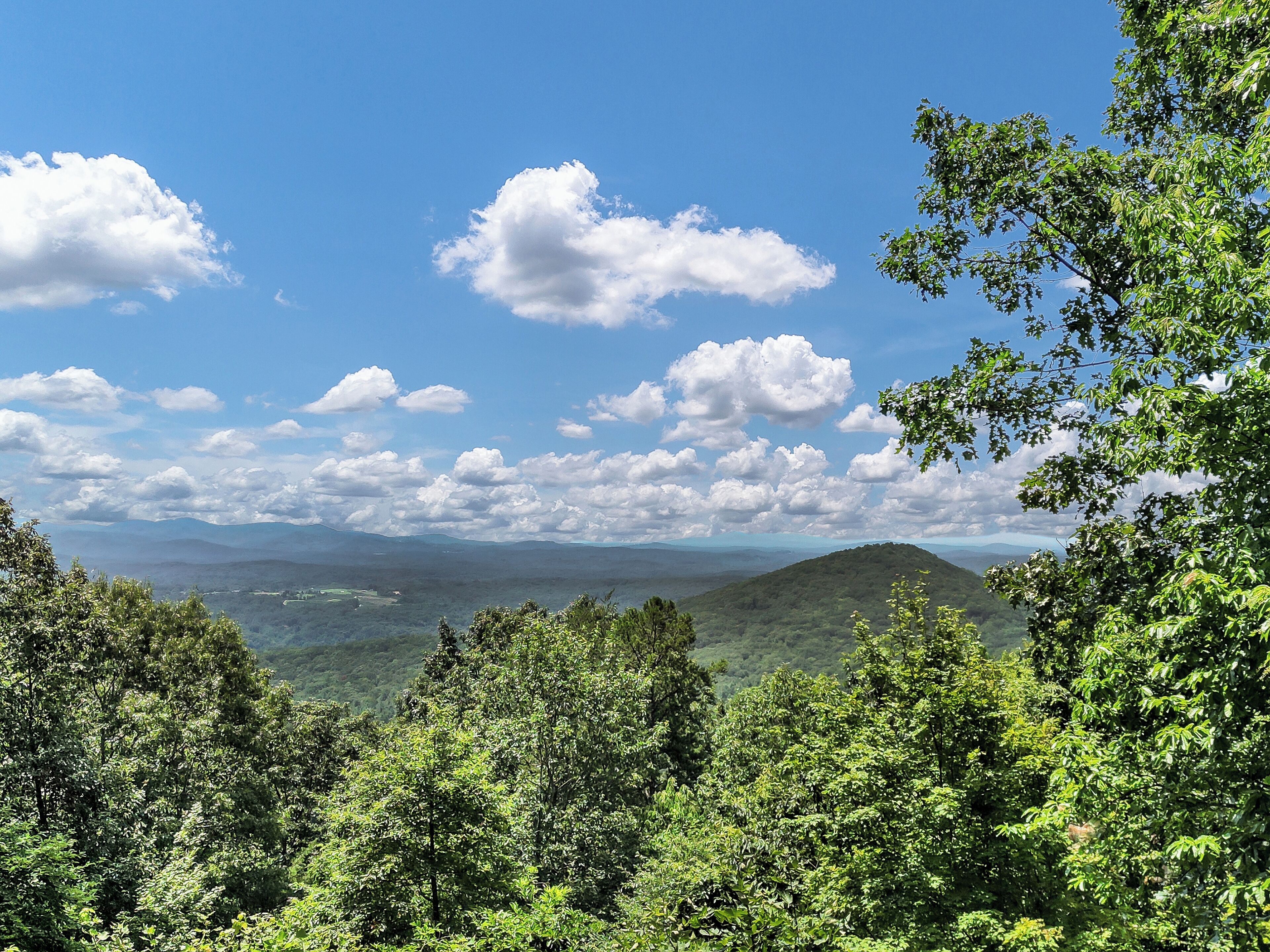 A forested landscape with a view of distant hills and a clear sky.