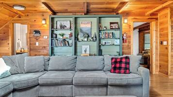 Smart TV, caminetto, libri