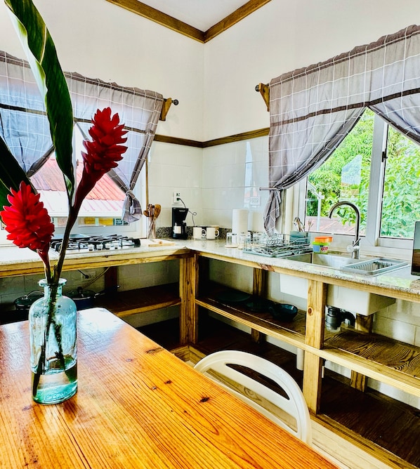 Studio Deluxe, quang cảnh vườn | Bếp riêng | Tủ lạnh, lò vi sóng