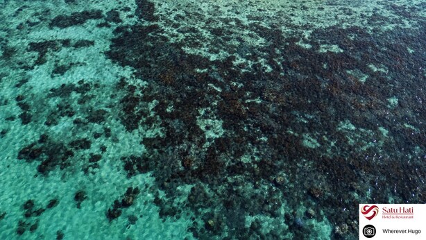 Vista aérea de una zona costera con aguas turquesas cristalinas, una playa de arena y afloramientos rocosos con vegetación escasa.