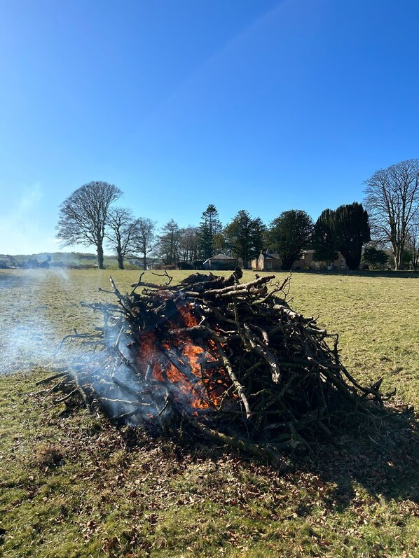 Un foc de camp en un camp de gespa amb arbres i cases al fons.