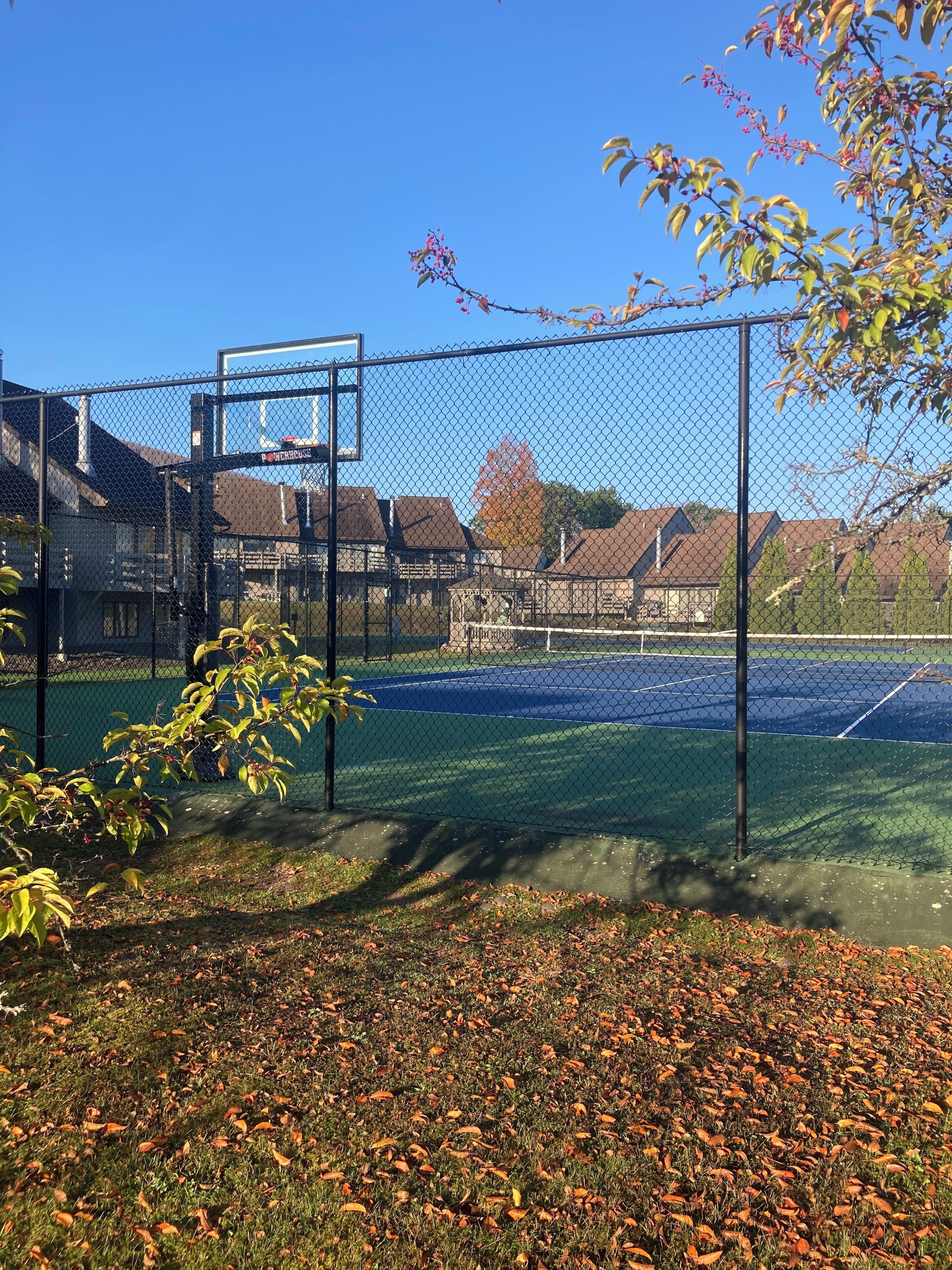 Terrain de sport