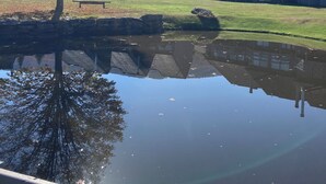 Una vista tranquila de un lago con un banco de madera, un árbol y una hilera de casas con techos empinados.