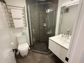 Shower, hair dryer, towels, soap