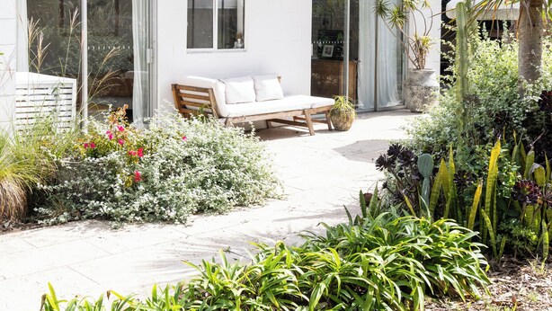 A modern house with a patio, a wooden bench, and a variety of plants. - Rustic, cosy one bedroom guesthouse. Just a short walk to Umina Beach! (Umina Beach)