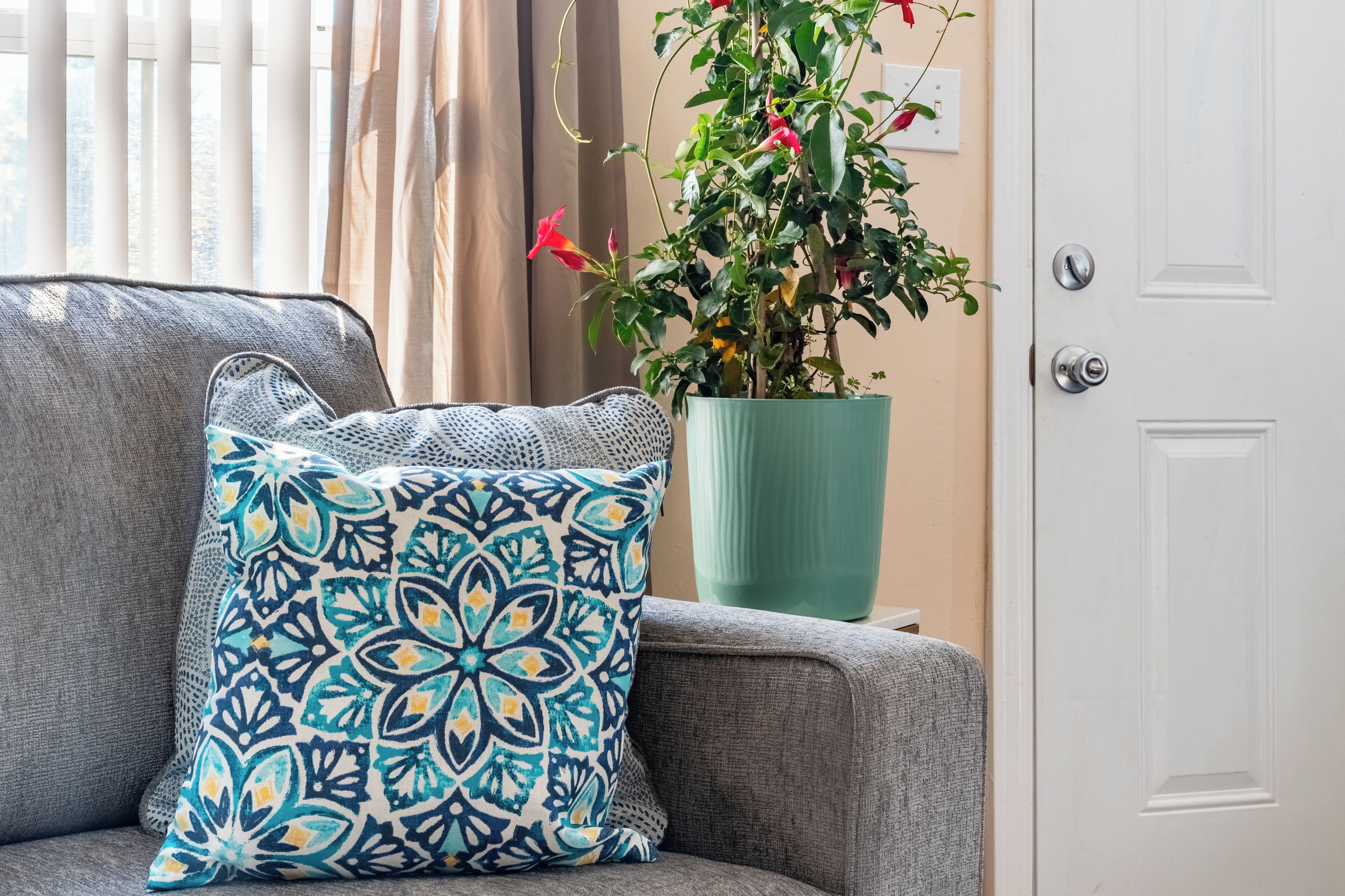 A grey sofa with a patterned pillow, a potted plant with red flowers, and a white door.