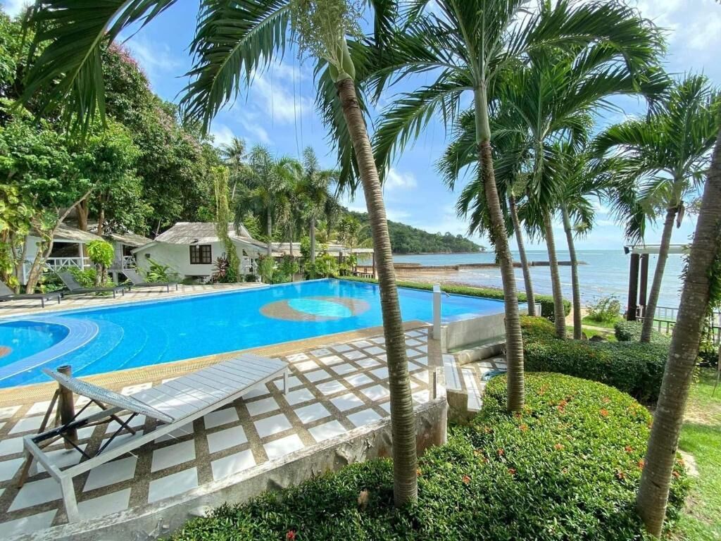 A swimming pool surrounded by palm trees and a view of the sea.