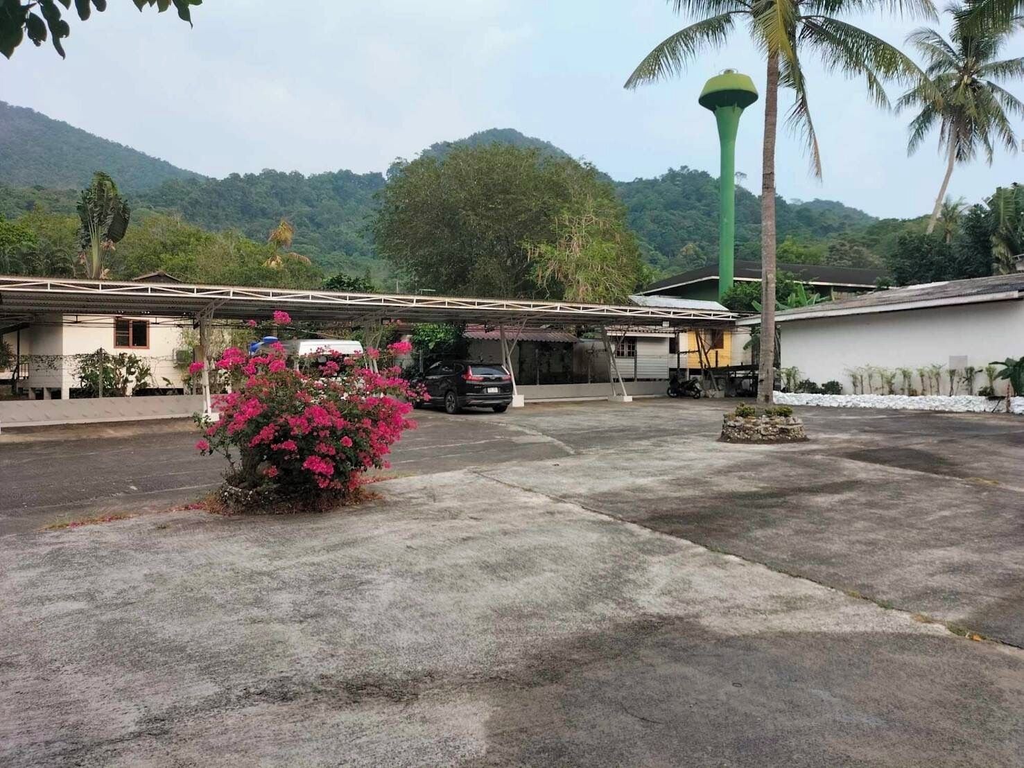 Un espace de stationnement doté d’un abri de lavage automobile, un bâtiment surmonté d’un toit végétalisé et un paysage montagneux en arrière-plan.