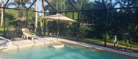 حمّام سباحة خارجي