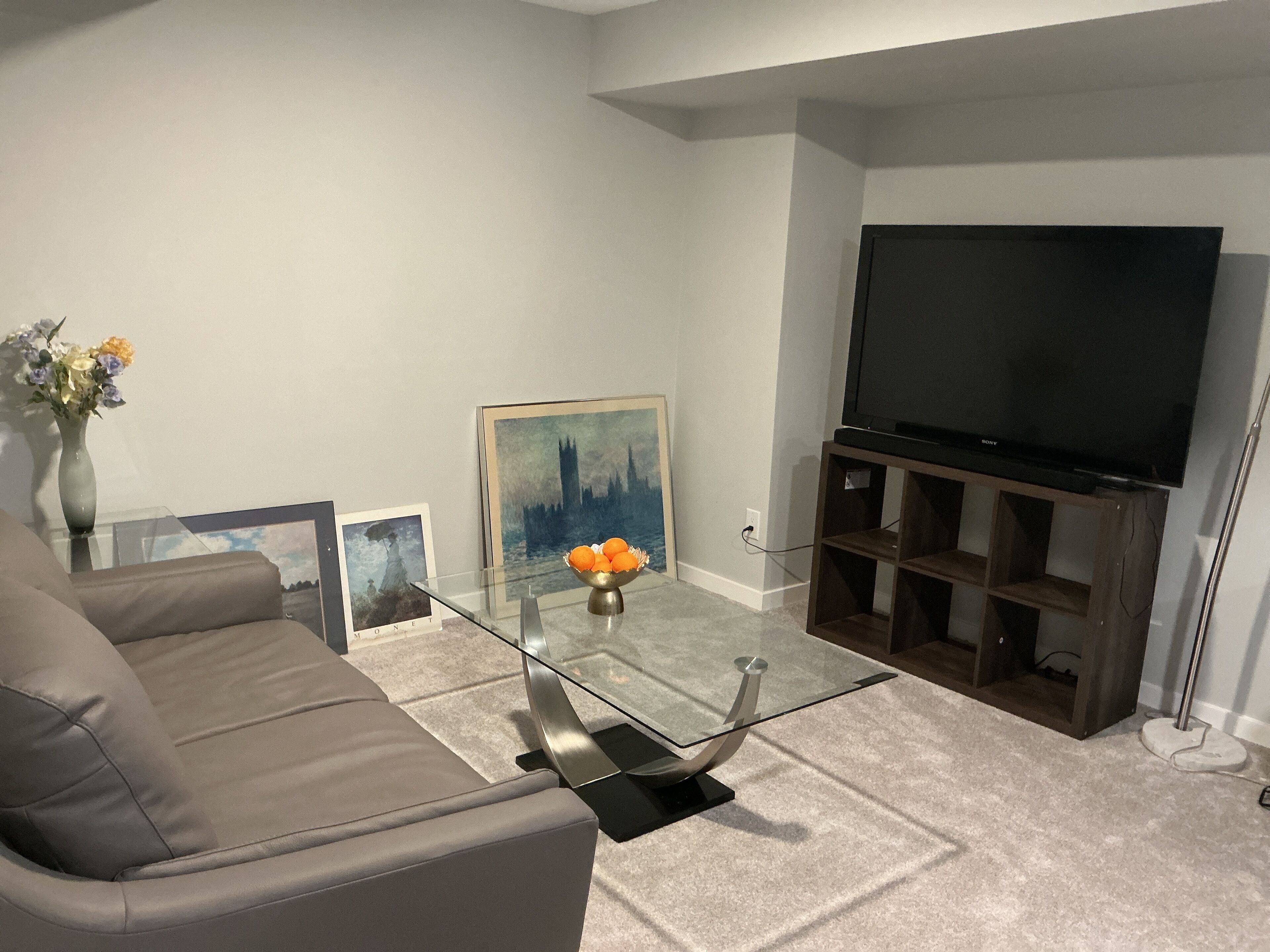 Smart TV, computer monitors, printers